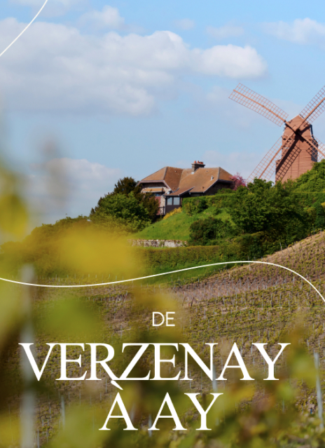 De Verzenay à Ay 